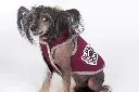 20180829_GSD2359.webp